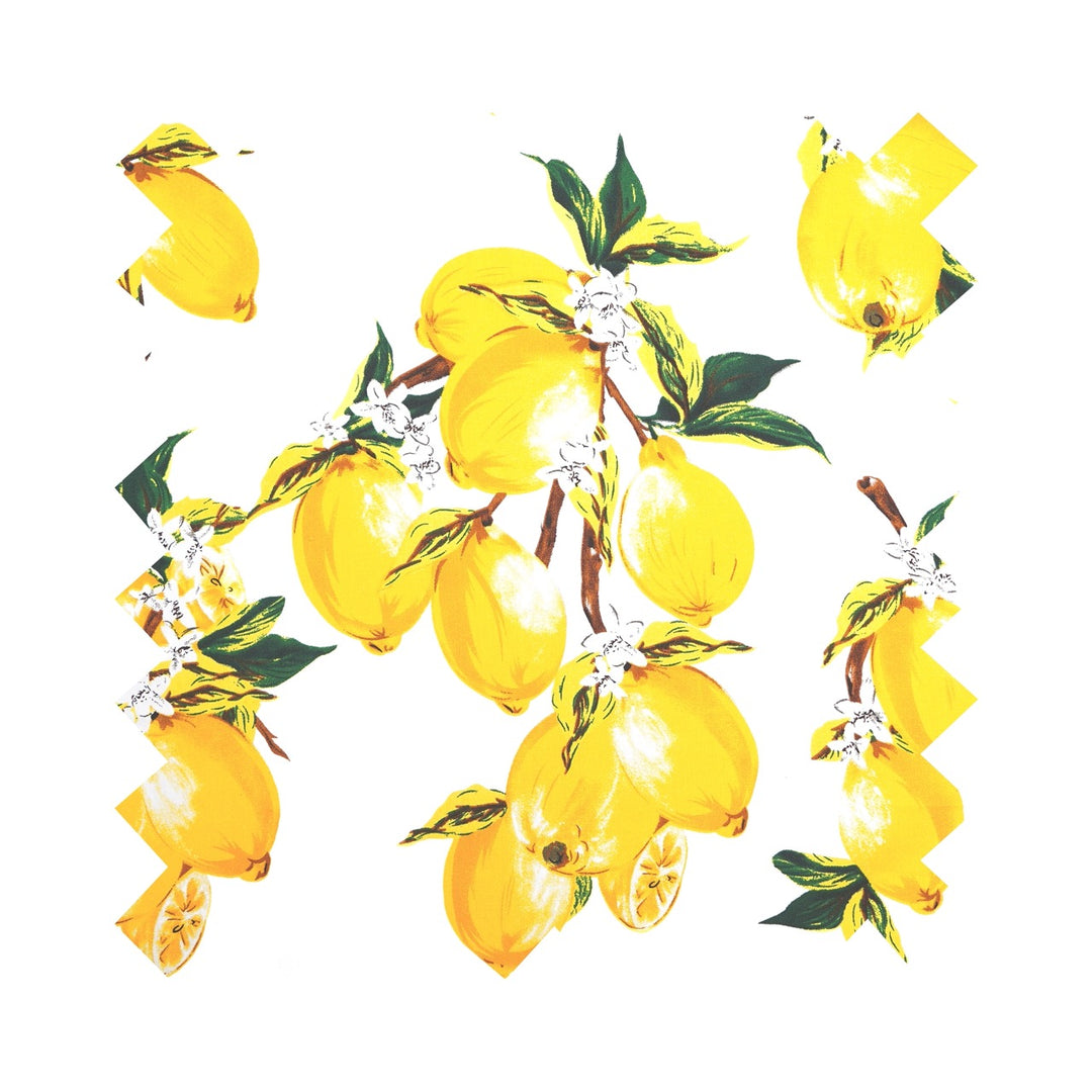 Illustration of lemons with green leaves on a white background