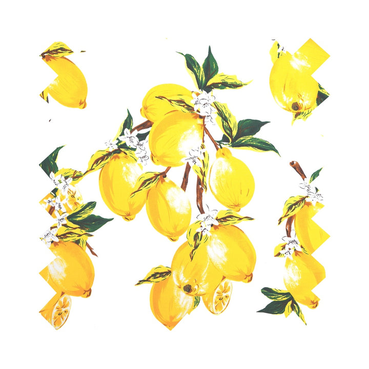 Illustration of lemons with green leaves on a white background
