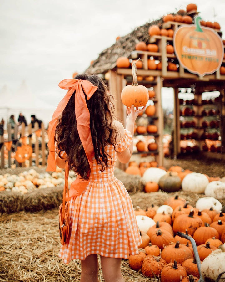 Loretta Dress in Orange Gingham